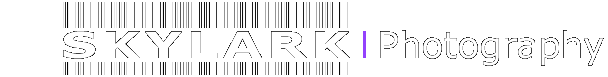 Skylark | Photography